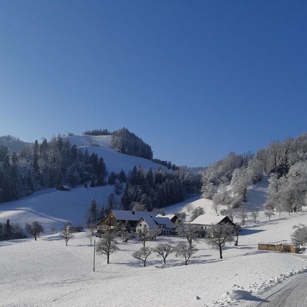 Winterlandschaft