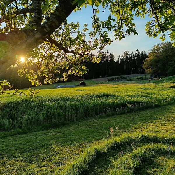 Sonnenuntergang