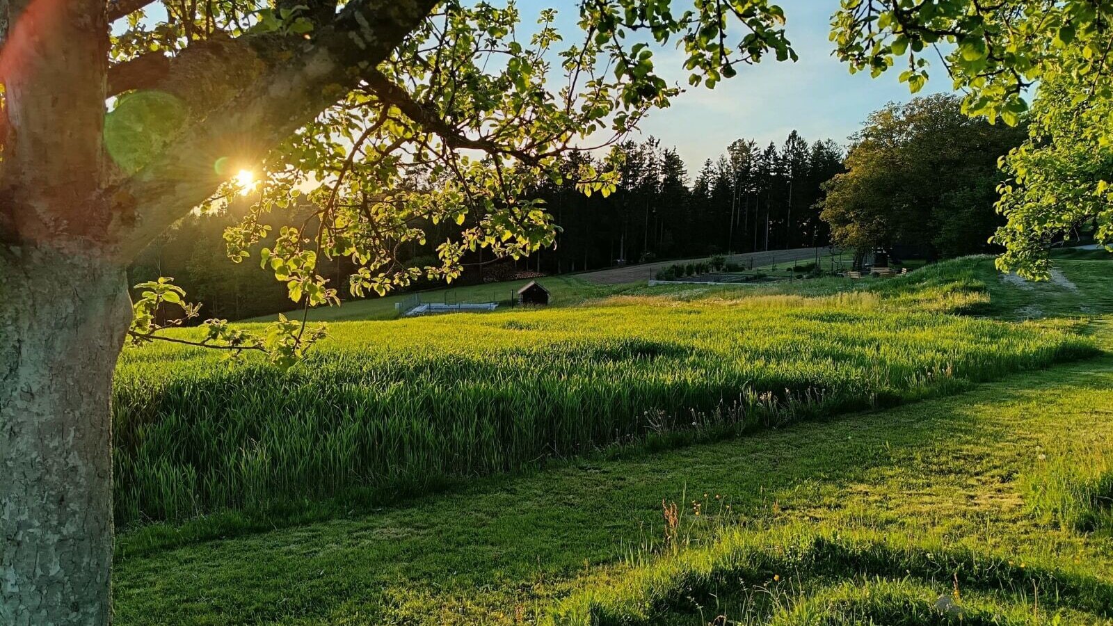 Sonnenuntergang
