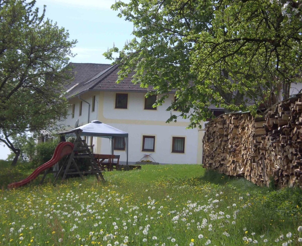Im Garten ist viel, viel Platz zum herumtollen