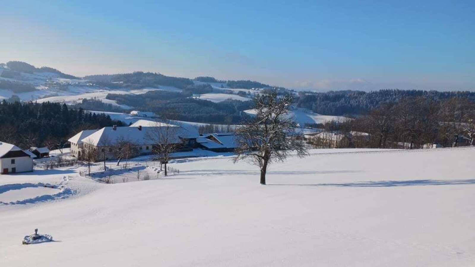 Verschneite Winterlandschaft am Nussbaumerhof