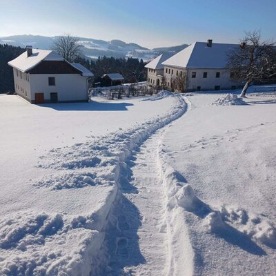 Hurra - Schnee am Nussbaumerhof