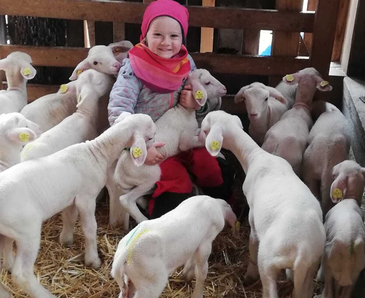 Ein Kind umgeben von Lämmern im Stall des Bauernhofs.