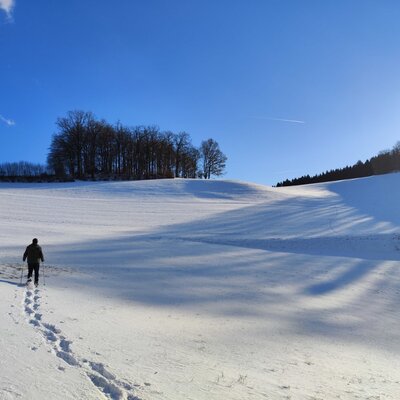 Schneeschuhwandern