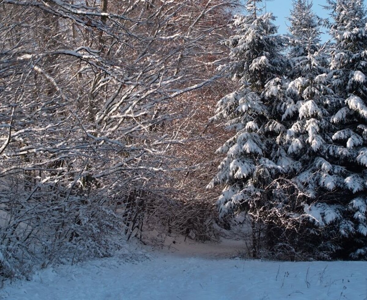 Winterlandschaft