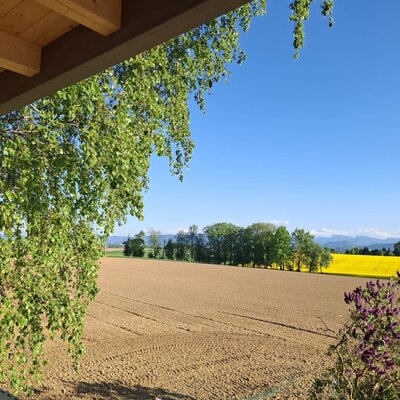 Blick vom Ferienhaus über Ackerland und ein gelbes Rapsfeld zu den Bergen unter blauem Himmel.