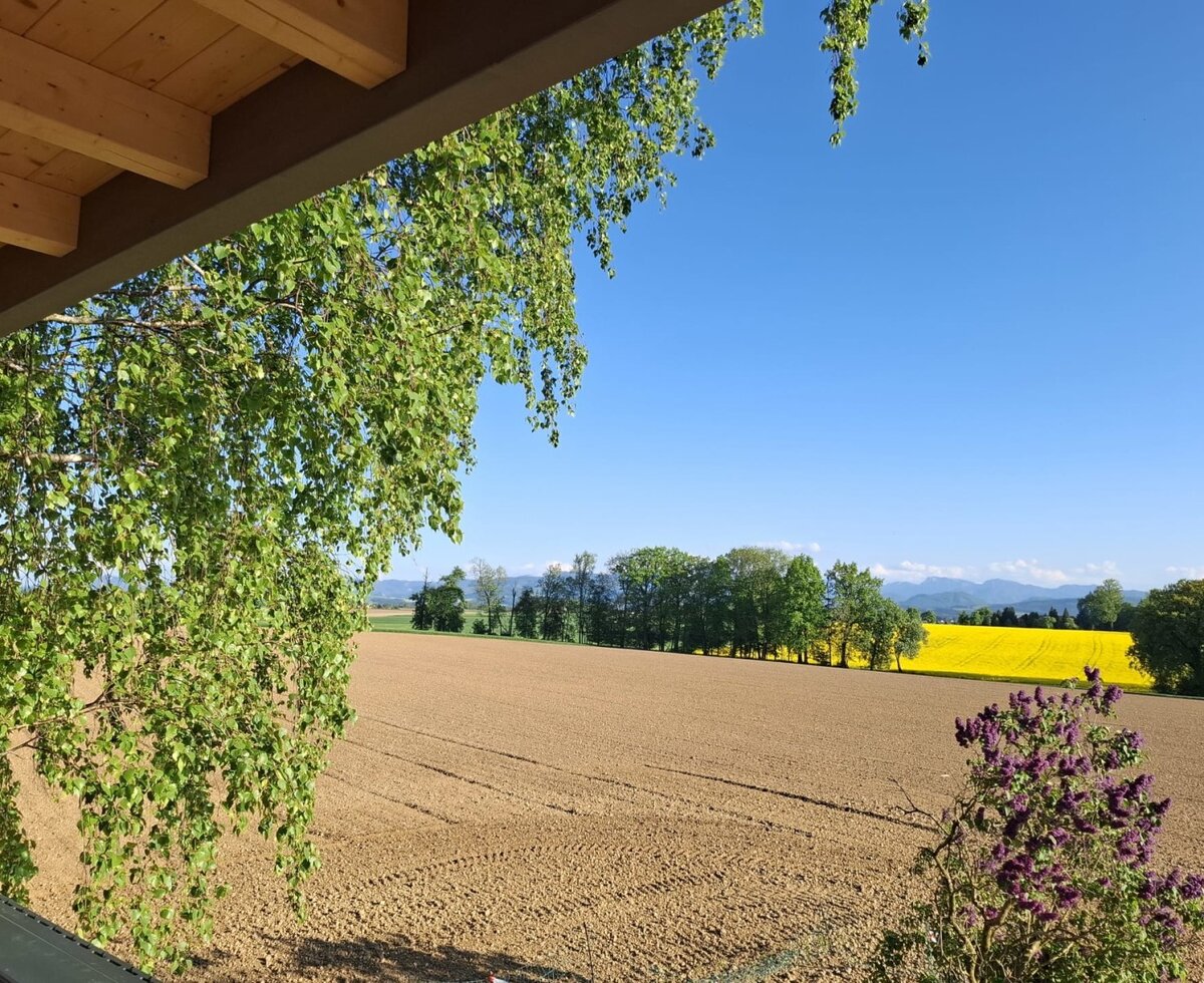 Blick vom Ferienhaus über Ackerland und ein gelbes Rapsfeld zu den Bergen unter blauem Himmel.