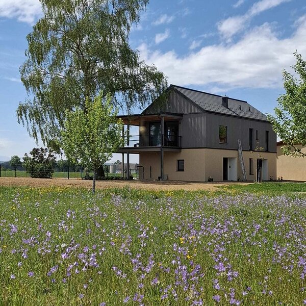 Das moderne Ferienhaus mit Balkon, umgeben von einer Blumenwiese und einem großen Baum.