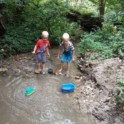 Staudamm bauen im Bach