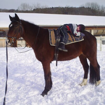 Winter mit Jimmy