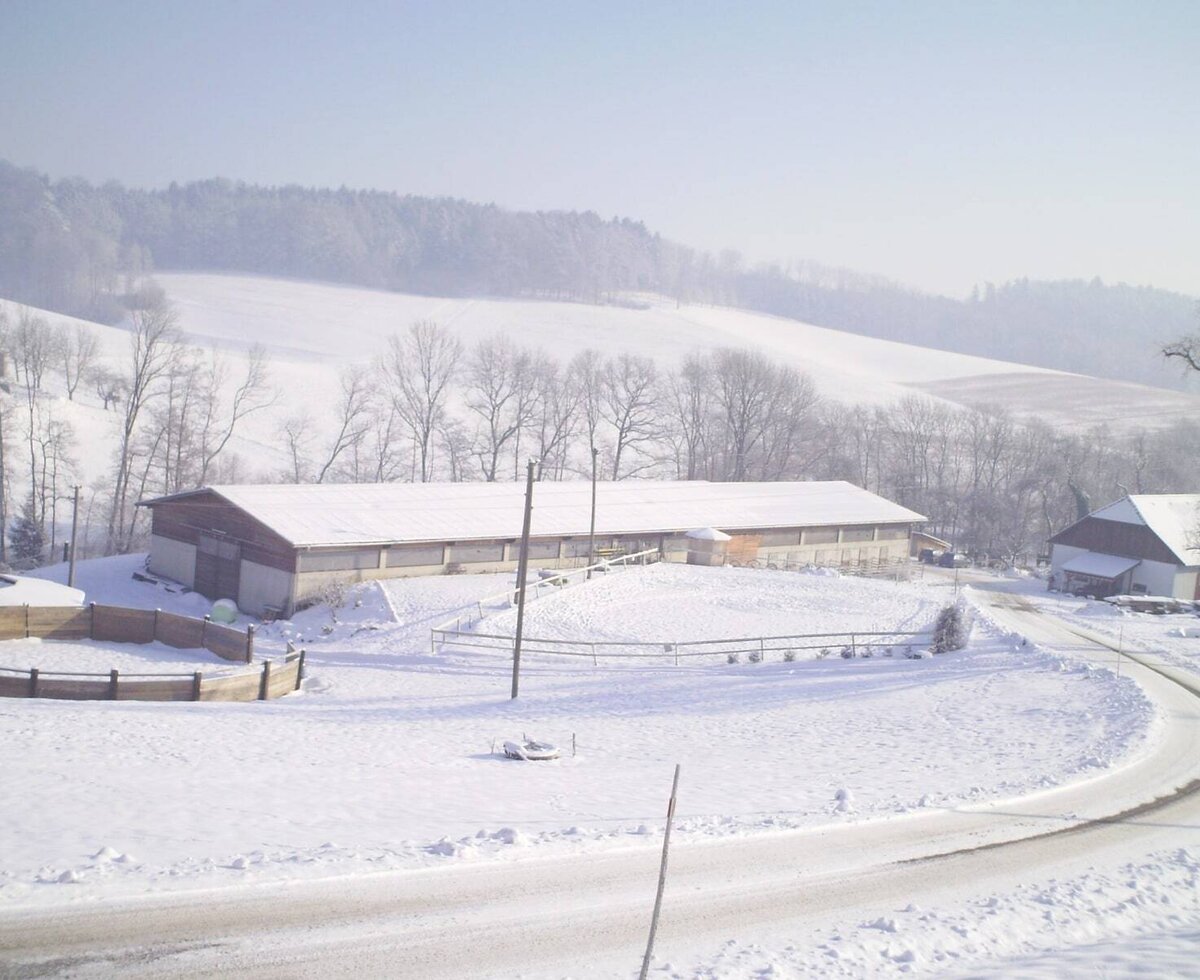 Winter am Hof