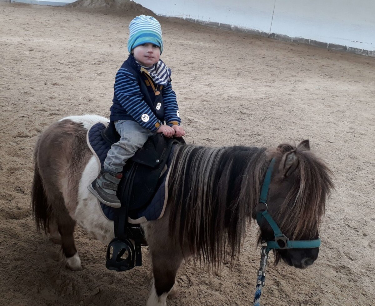 Ein Kind beim Ponyreiten auf dem Sandplatz des Bauernhofs.