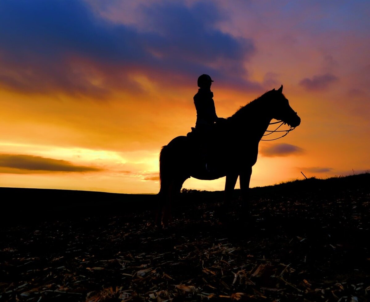Die stimmungsvolle Silhouette eines Pferdes mit Reiter vor einem goldenen Abendhimmel auf dem Bauernhof.