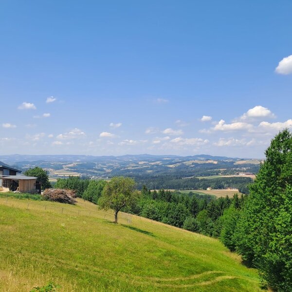 Die Riederegger-Alm mit weitem Panoramablick über die sanften, grünen Hügel und Wälder des Mühlviertels unter blauem Himmel.