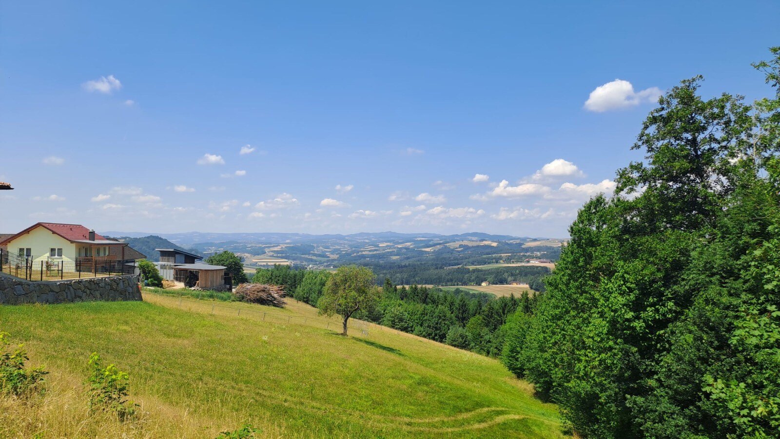 Die Riederegger-Alm mit weitem Panoramablick über die sanften, grünen Hügel und Wälder des Mühlviertels unter blauem Himmel.