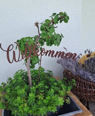 Ein einladendes Willkommensschild inmitten grüner Pflanzen im Eingangsbereich