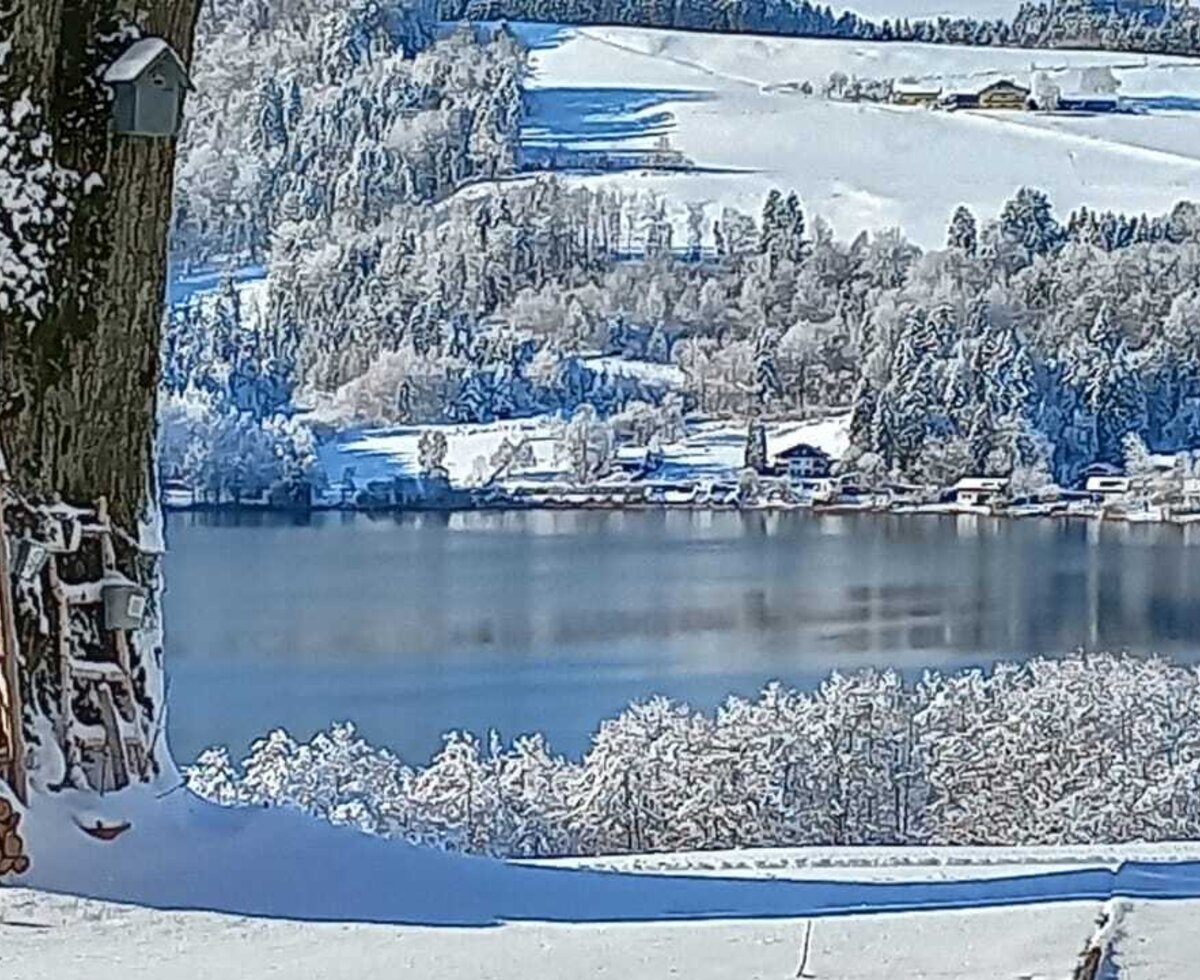 Seeblick im Winter