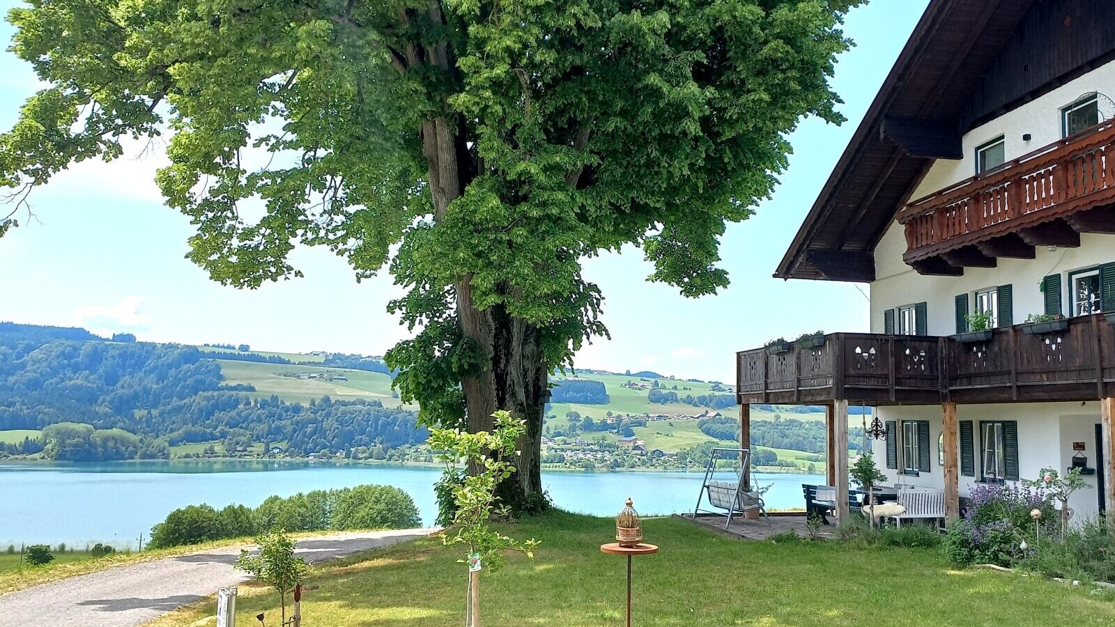 Der Bauernhof mit seinen Holzbalkonen und der Terrasse, umgeben von Grünflächen und einem großen Baum, bietet Seeblick auf die gegenüberliegenden bewaldeten Hügel.