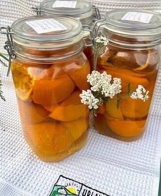 hausgemachter Orangen-Multi-Reiniger