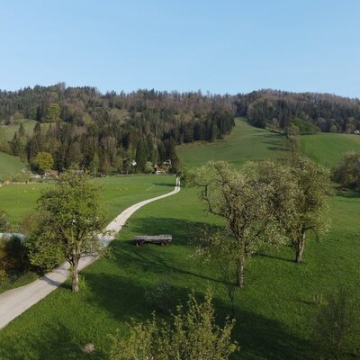 Die ländliche Umgebung des Campingplatzes mit grünen Hügeln, Wäldern und einem geschwungenen Feldweg.