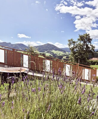 Gartenbereich des Bauernhofs mit Lavendel, einer Terrasse und Bergblick.