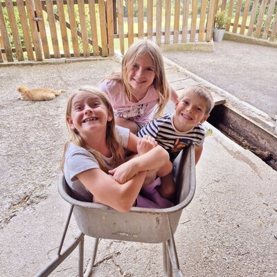 Drei Kinder spielen mit einer Schubkarre auf dem Bauernhof, im Hintergrund liegt eine Katze.