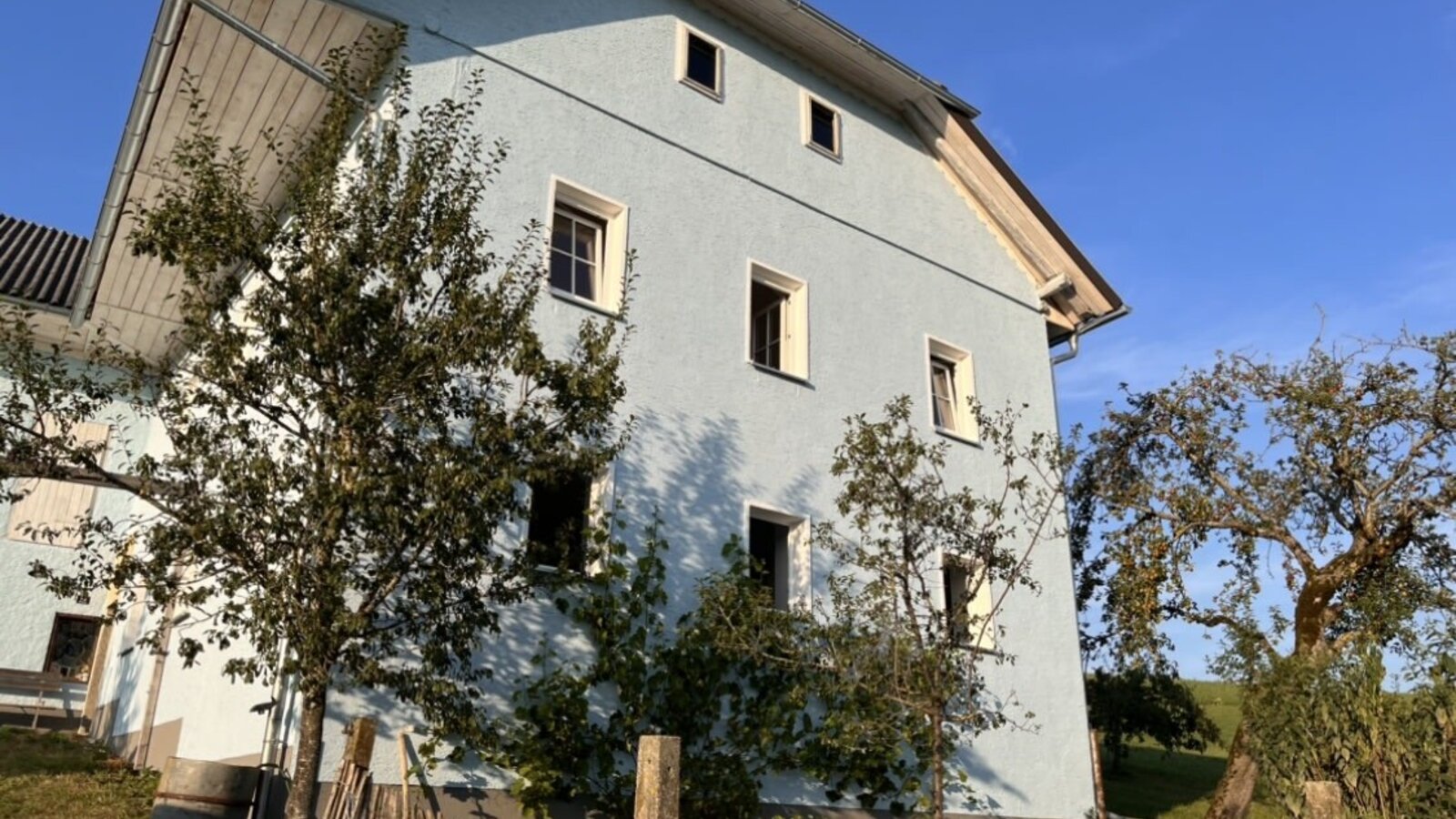 Hof