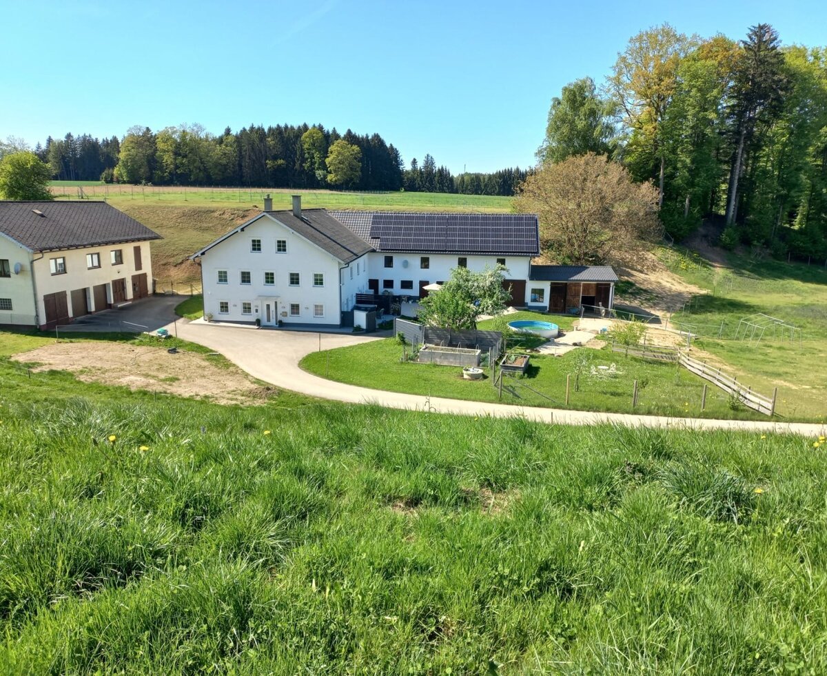 Außenansicht des Bed and Breakfast mit Zufahrt, Rasenfläche, kleinem Pool und umgebenden Feldern und Wald.