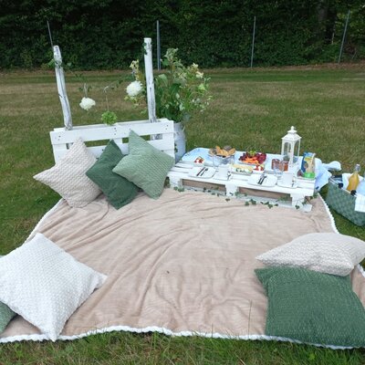 Picknick-Arrangement im Garten des Bed and Breakfast mit Decke, Kissen und einem Tisch mit Speisen und Getränken.