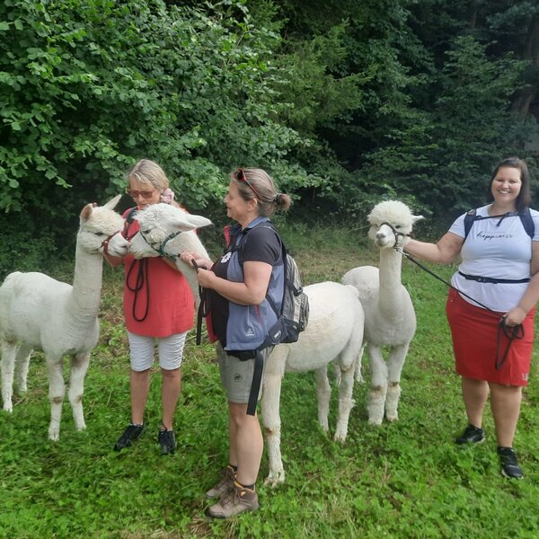 Gäste bei einer Alpaka-Wanderung, einem der besonderen Erlebnisse, die im Sweet Home Alpacas angeboten werden.