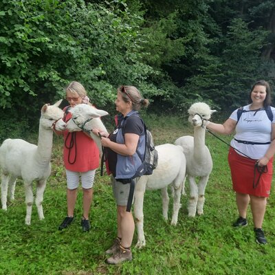Gäste bei einer Alpaka-Wanderung, einem der besonderen Erlebnisse, die bei Sweet Home Alpacas angeboten werden.
