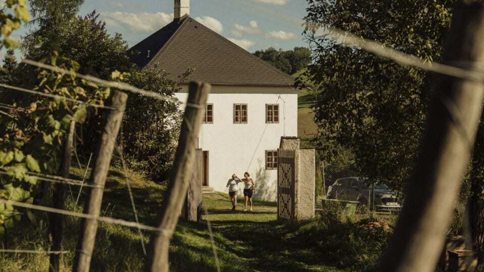 Das idyllische Weinhaus umgeben von grünen Weinreben an einem sonnigen Tag.