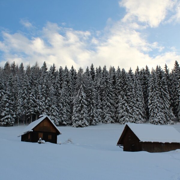Winterliche Umgebung der Alm mit zwei Holzhütten im Schnee und einem dahinterliegenden Tannenwald.