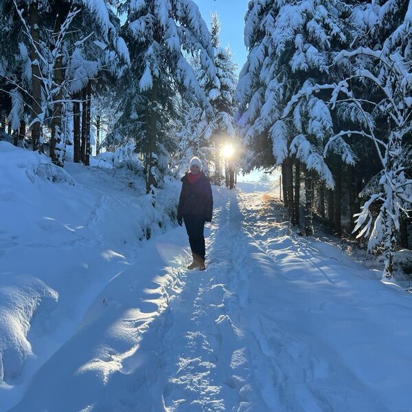 Verschneiter Wanderweg mit einer Person im Wald und Sonnenschein, als Teil der Naturangebote um den Bauernhof.