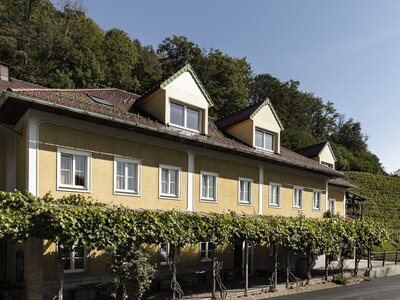 Weingarten Haselgraben in Kirchschlag bei Linz, Mühlviertel | © Urlaub am Bauernhof Oberösterreich / Robert Josipovic Photography Weingarten Haselgraben in Kirchschlag bei Linz, Mühlviertel | © Urlaub am Bauernhof Oberösterreich / Robert Josipovic Photography