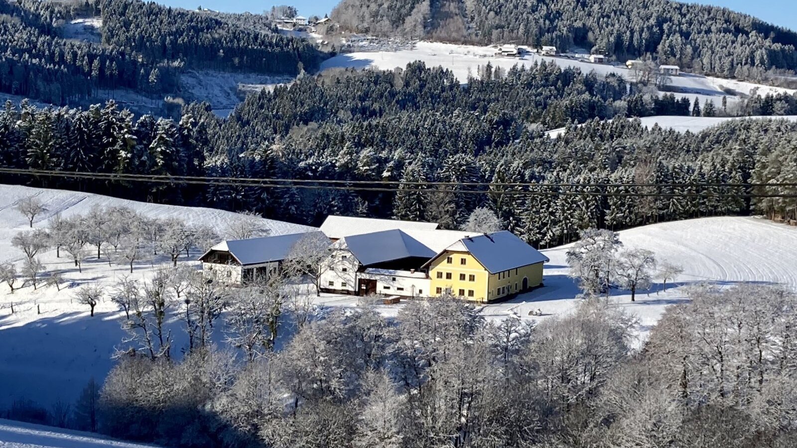 Bauernhof Wenigeder Ostansicht