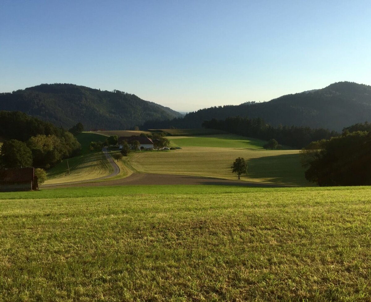 Malerischer Blick auf den Bauernhof inmitten von sanften, grünen Hügeln und weiten Wiesen.