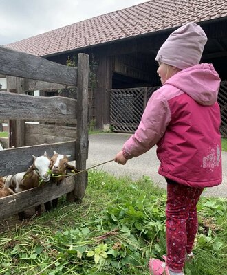 Ein kinderfreundlicher Bauernhof, auf dem kleine Gäste die niedlichen Ziegen im Holzgehege füttern können.