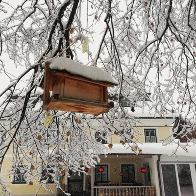 Vogelhaus an einem schneebedeckten Baum vor dem winterlich dekorierten Balkon des Bauernhofs.