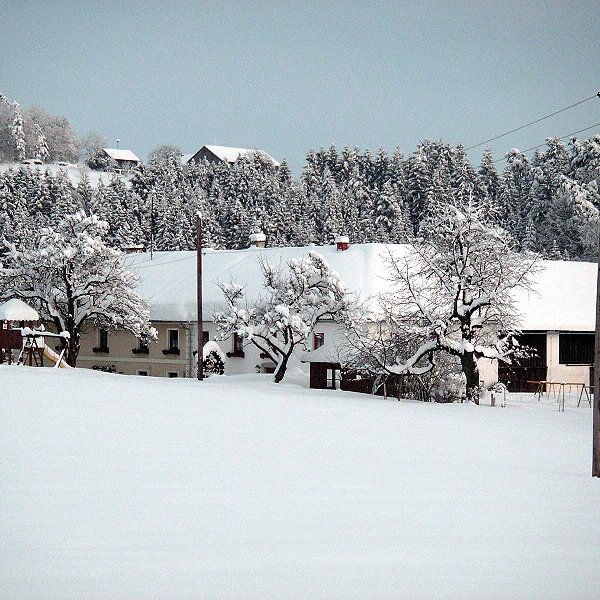 Der Hof schön verschneit!