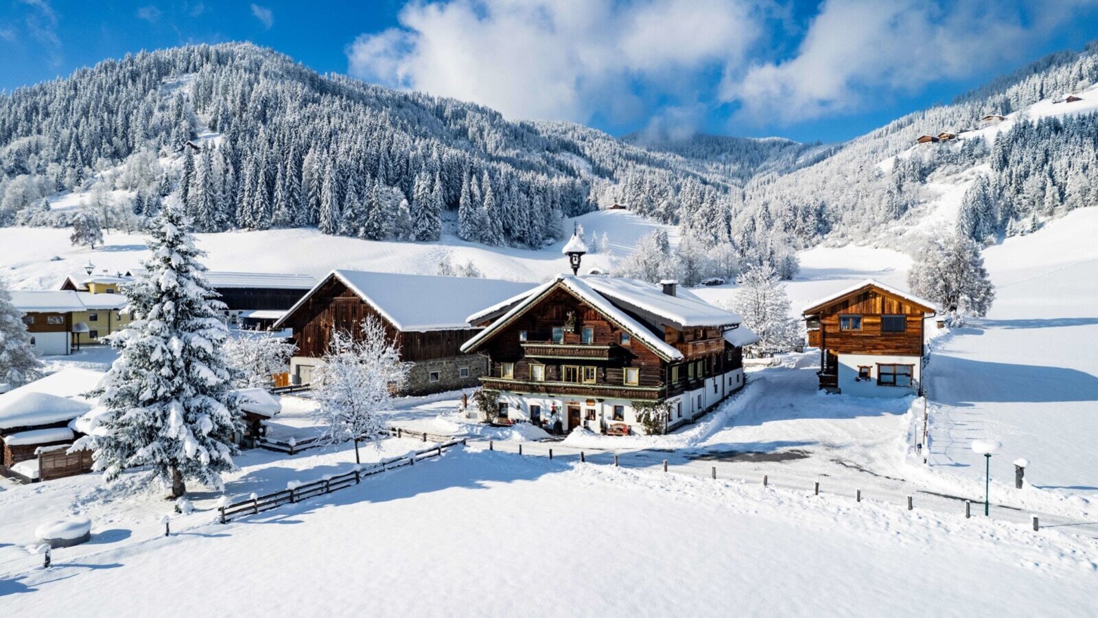 Winter Wonderland