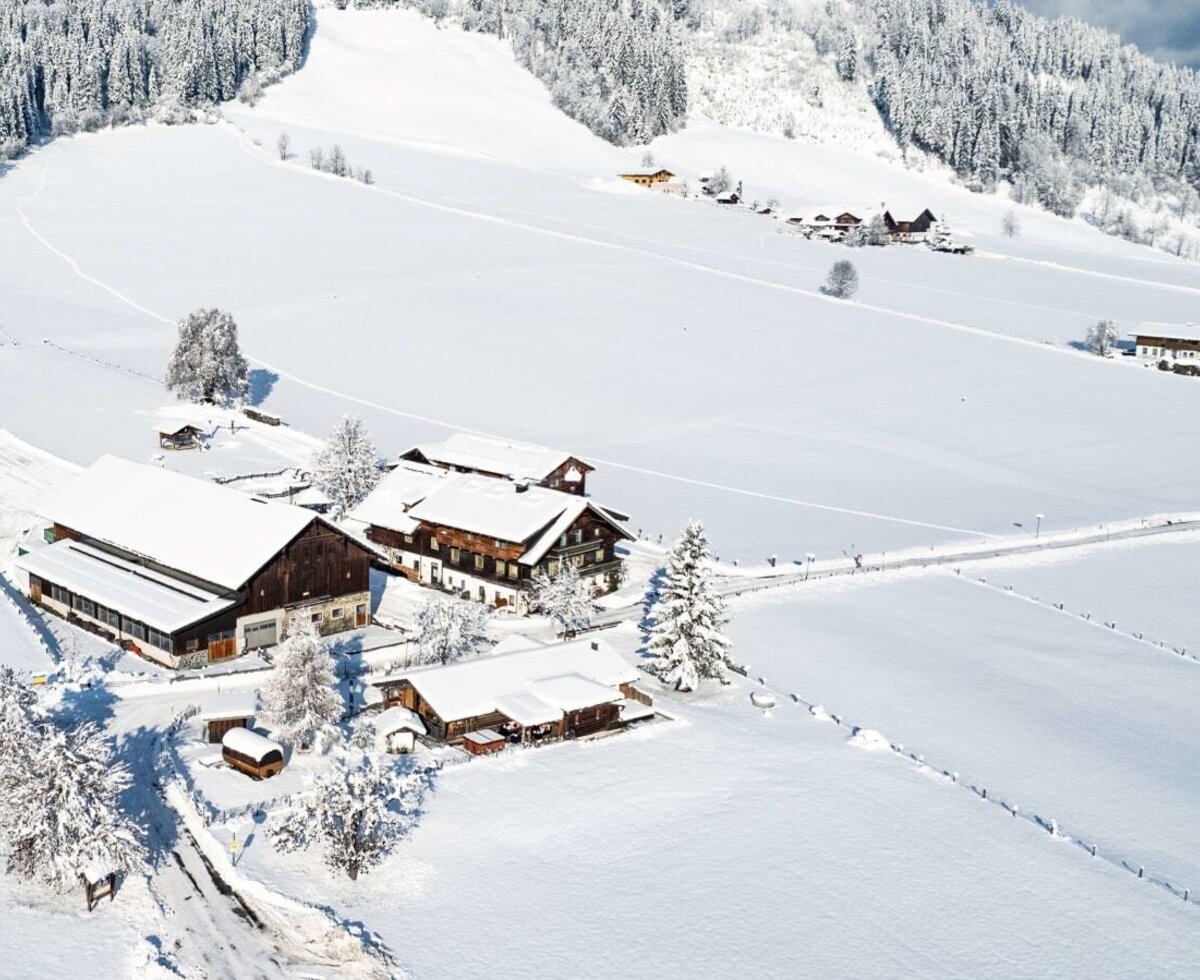 Winter Wonderland