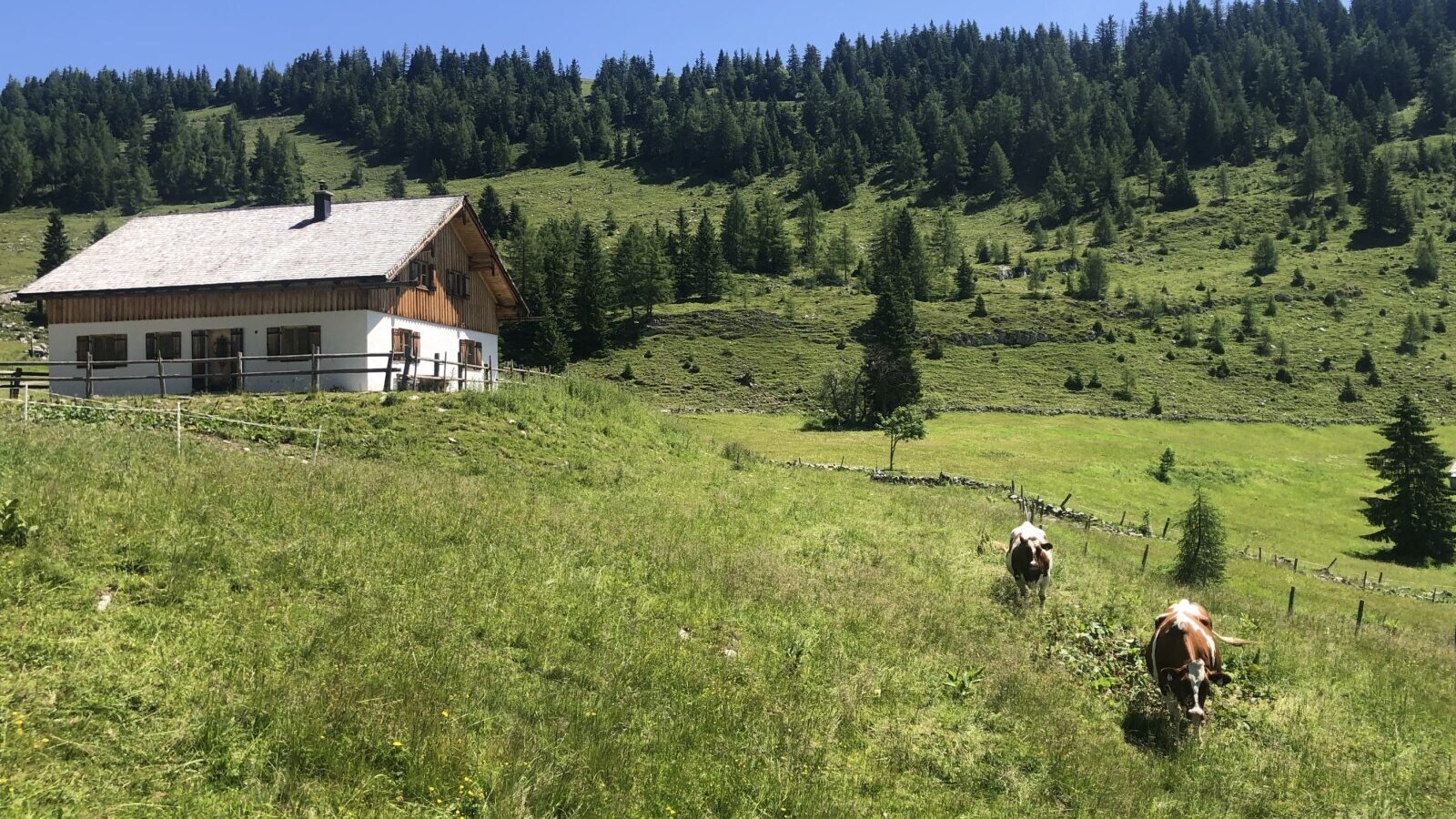 Hirterhütte