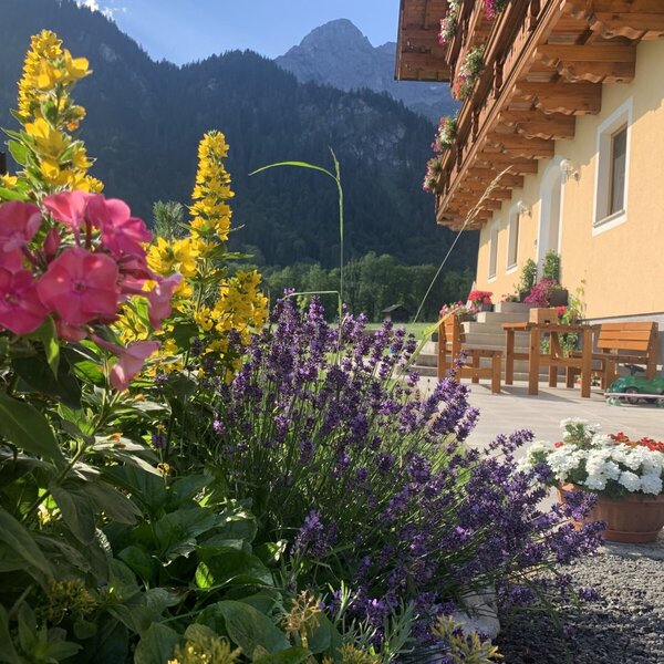 Gartenterasse und Liegewiese vor dem Apartmenthaus