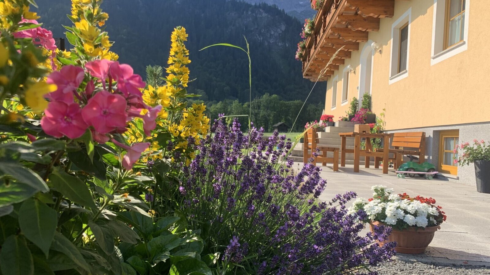 Gartenterasse und Liegewiese vor dem Apartmenthaus