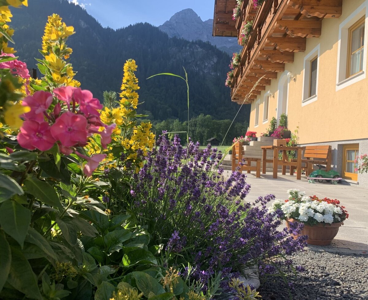 Gartenterasse und Liegewiese vor dem Apartmenthaus