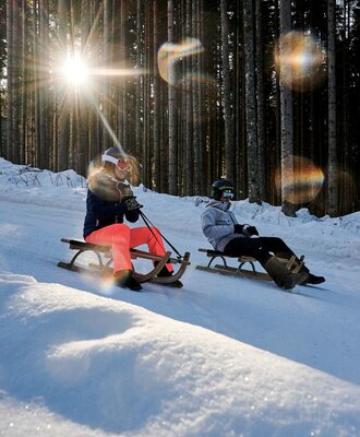 Schlittenfahren - Fotocredit: Tourismusverband Werfenweng/Marco Dullnig