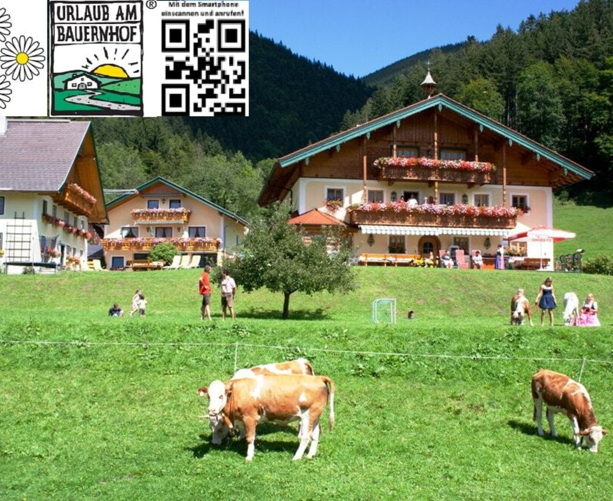 Willkommensbild Schmiedbauernhof