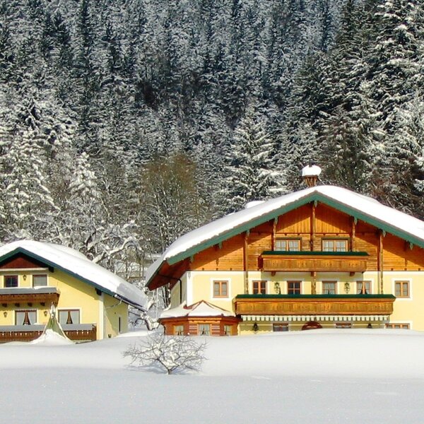 Willkommensbild  Winter