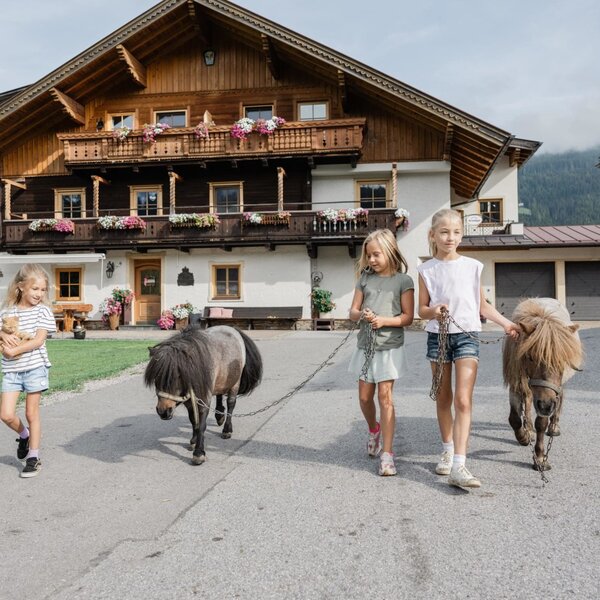 Zwergponys und Hausansicht